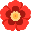 طراحی سایت گل فروشی