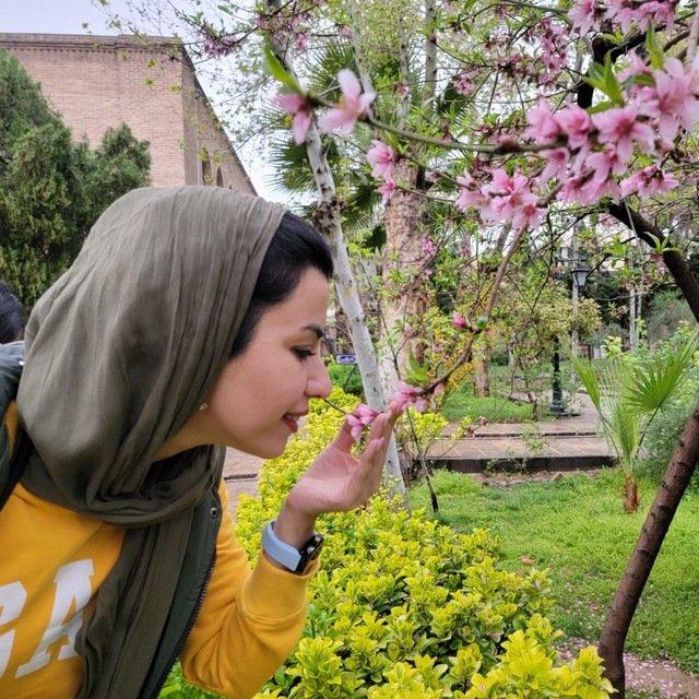 آوا رحیمی زاده