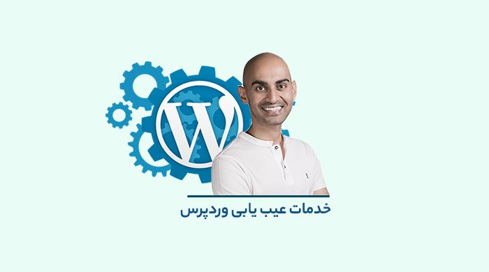 خدمات عیب یابی وردپرس
